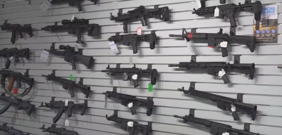 Why Do US States Have Different Gun Laws?